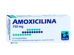 Amoxicilina 750 Mg X10 Comp